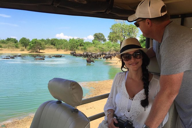 Leopard Safari Tour in Yala National Park - Key things to know before you book