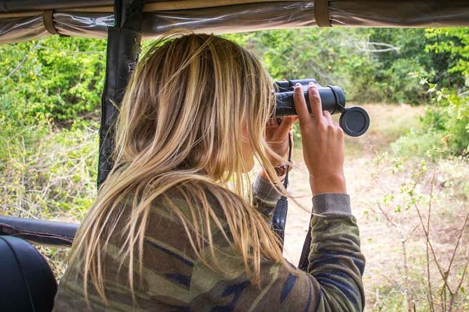 Leopard Safari Tour in Yala National Park - The first two hours: search mode, not sightseeing mode