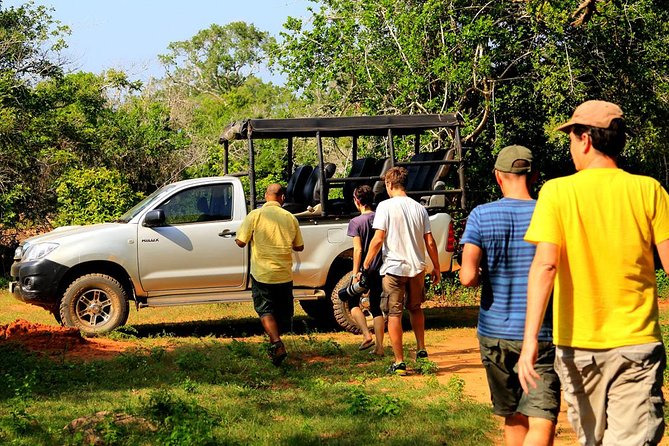 Leopard Safari Tour in Yala National Park - Leopard sightings and the crowded final moment