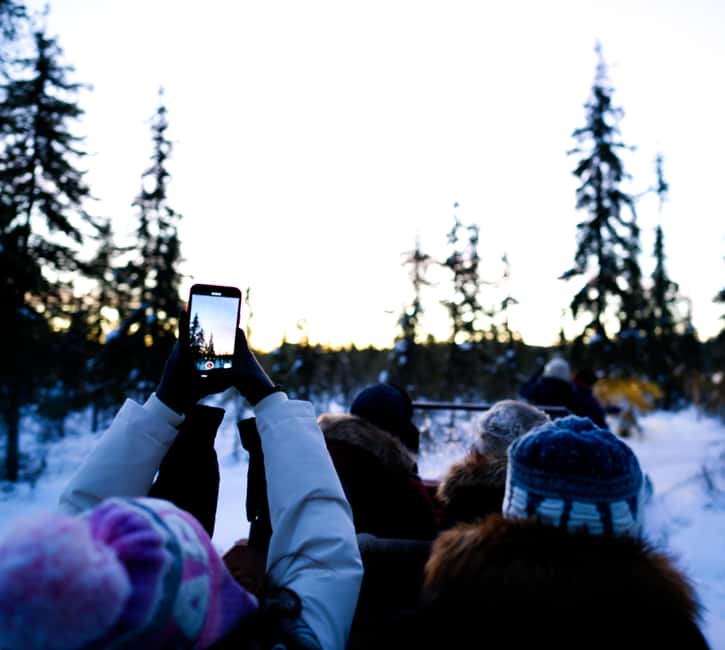 Levi: Winter Wilderness Husky & Reindeer Safari Combo Tour - A kota turns cold weather into part of the fun
