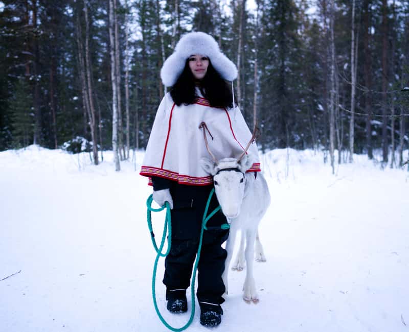 Levi: Winter Wilderness Husky & Reindeer Safari Combo Tour - The reindeer sleigh is the gentle opening