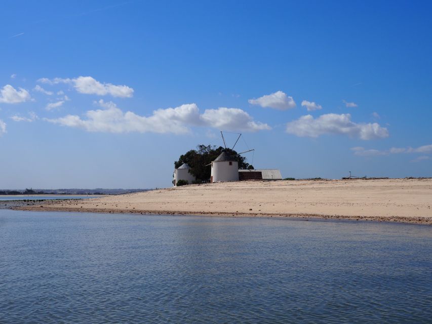 Lisbon: Tagus Estuary Nature Reserve Birdwatching Boat Tour - Entering the Tagus Estuary Nature Reserve