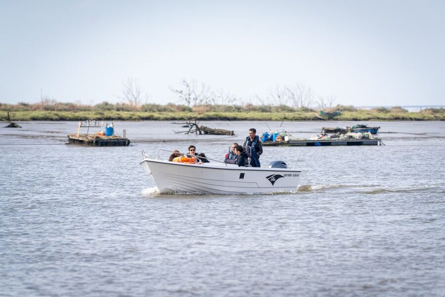 Lisbon: Tagus Estuary Nature Reserve Birdwatching Boat Tour - Birds you might see in different seasons