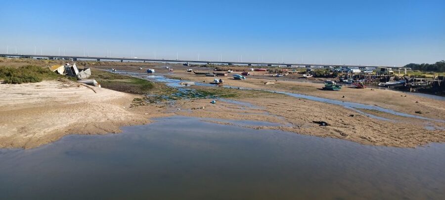 Lisbon: Tagus Estuary Nature Reserve Birdwatching Boat Tour - How tides shape the experience