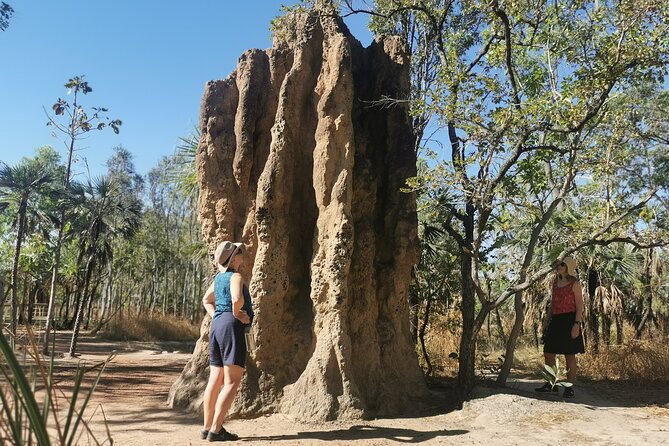 Litchfield National Park Day Tour & Berry Springs, Max 11 Guests - Florence Falls brings the first big payoff