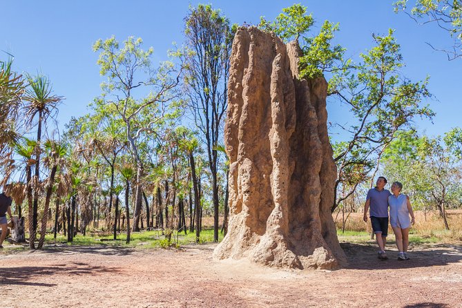 Litchfield National Park Day Tour from Darwin - Wangi Falls, swimming, and the best pause of the day