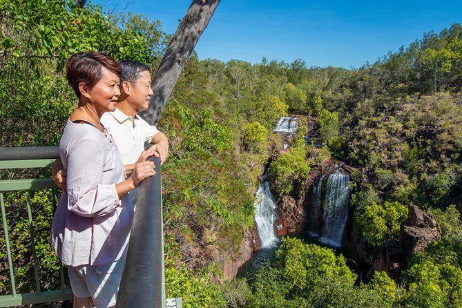 Litchfield National Park Day Tour from Darwin - The termite mounds: a quick stop with real character
