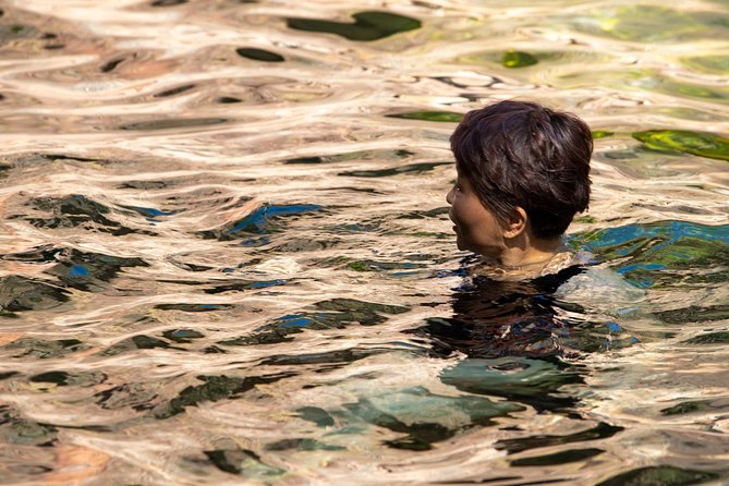 Litchfield National Park Day Tour from Darwin - Lunch, comfort, and the value of $154.21