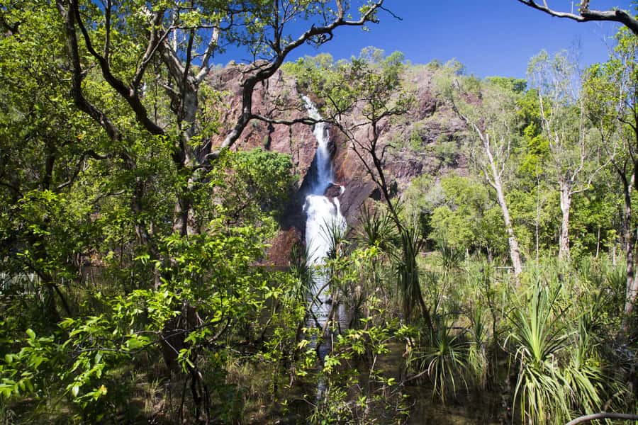 Litchfield National Park: Full-Day & Lunch from Darwin - Lunch: useful, simple, and worth clarifying