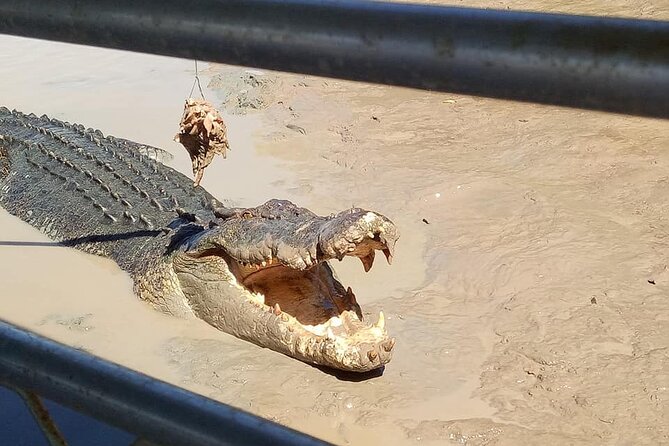 Litchfield National Park Tour with Wetlands or Crocodile Cruise - Buley Rockhole or Wangi Falls