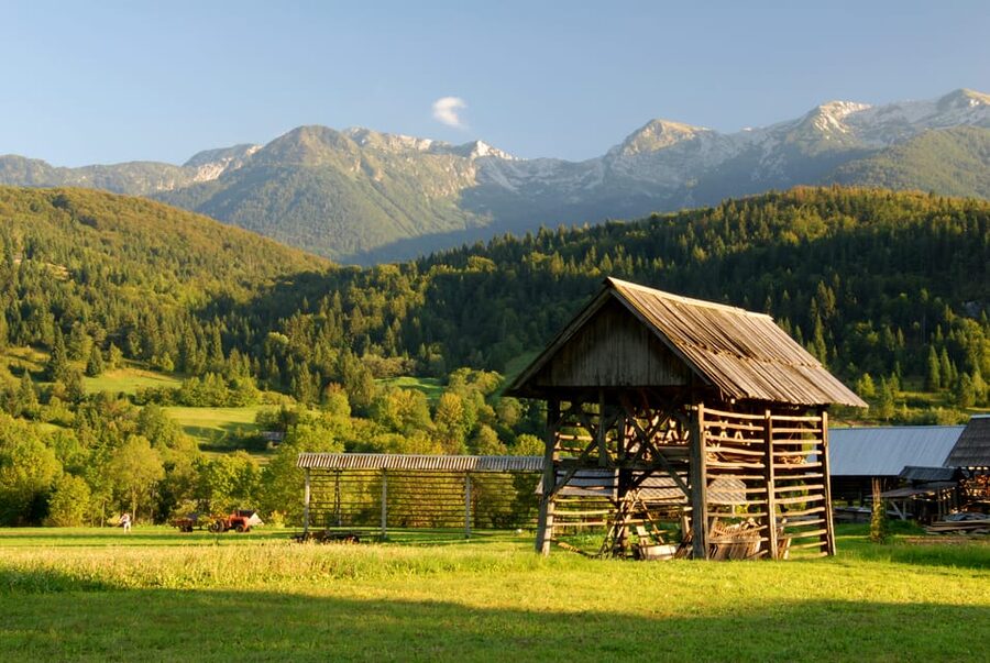 Ljubljana: Lake Bled & Triglav National Park Full-Day Trip - Lake Jasna is the day’s calmest photo stop