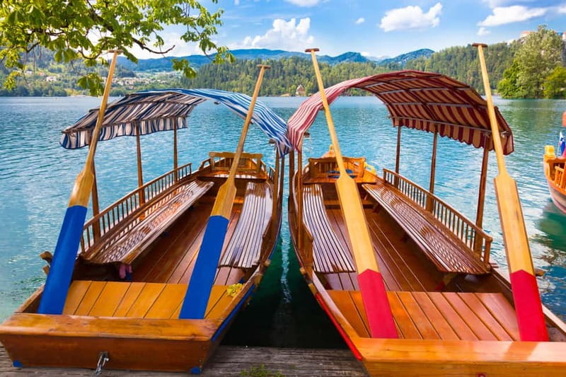Ljubljana: Lake Bled & Triglav National Park Full-Day Trip - Lake Bled gives you the classic Slovenia view
