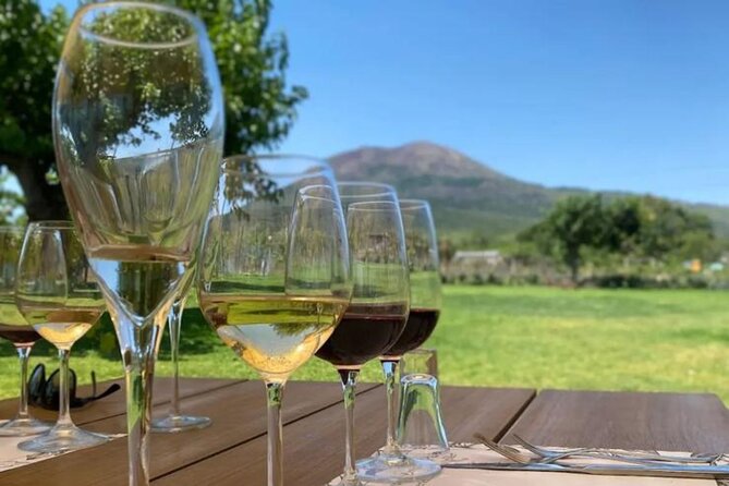 Lunch & Wine Tasting in the National Park of Mt Vesuvius - A peaceful table above Pompeii