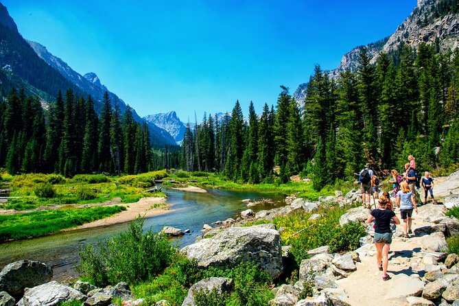Luxury Private Half-Day Grand Teton National Park Tour - Willow Flats Overlook and Colter Bay