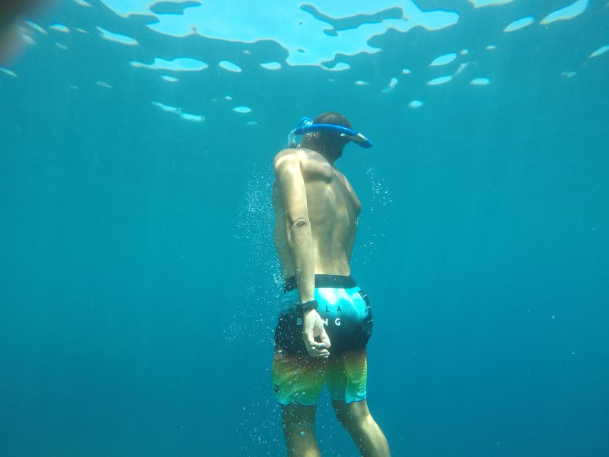Madeira: Garajau Nature Reserve Kayak and Snorkel Tour - Key points to know before you book