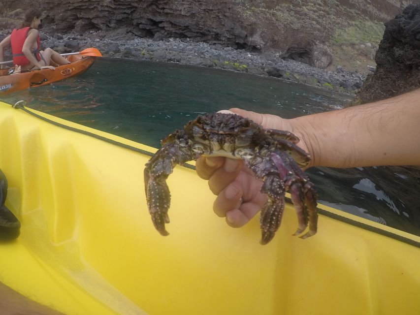 Madeira: Garajau Nature Reserve Kayak and Snorkel Tour - How difficult is the kayaking?