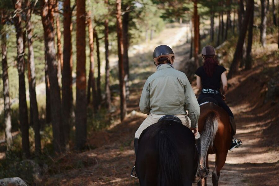 Madrid: Horse Riding in Sierra del Guadarrama National Park - Two hours on mountain trails