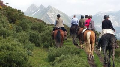 Madrid: Horse Riding in Sierra del Guadarrama National Park