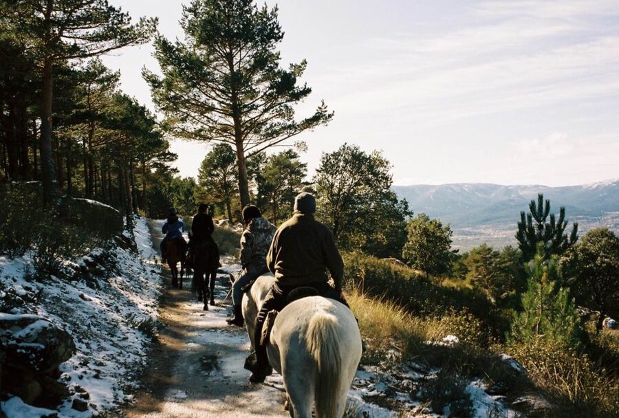 Madrid: Horse Riding in Sierra del Guadarrama National Park - What the small group changes