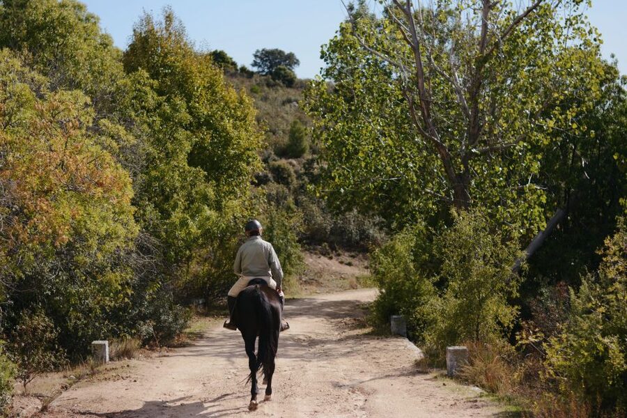 Madrid: Horse Riding in Sierra del Guadarrama National Park - My booking advice