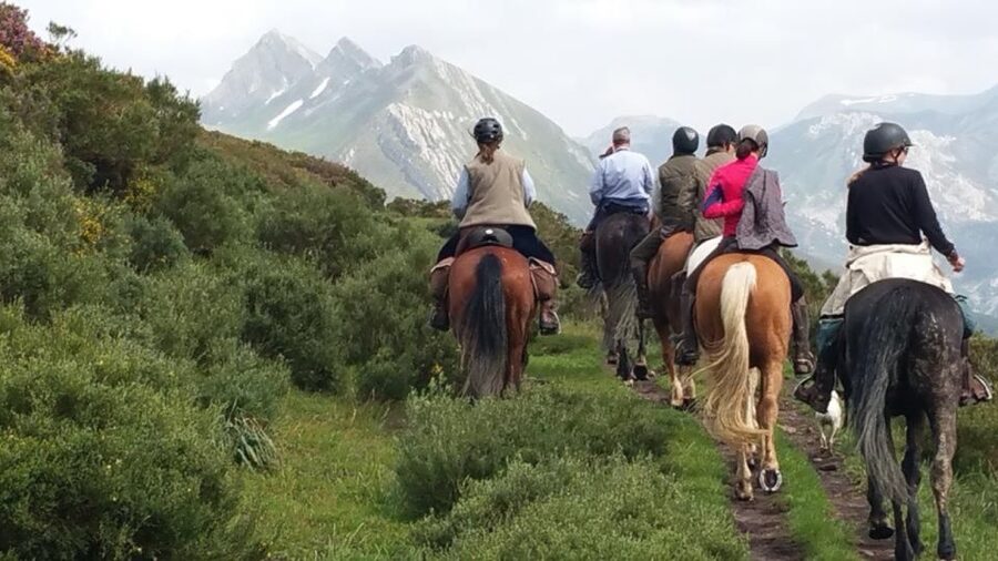 Madrid: Horse Riding in Sierra del Guadarrama National Park - Getting settled with your horse near Navacerrada