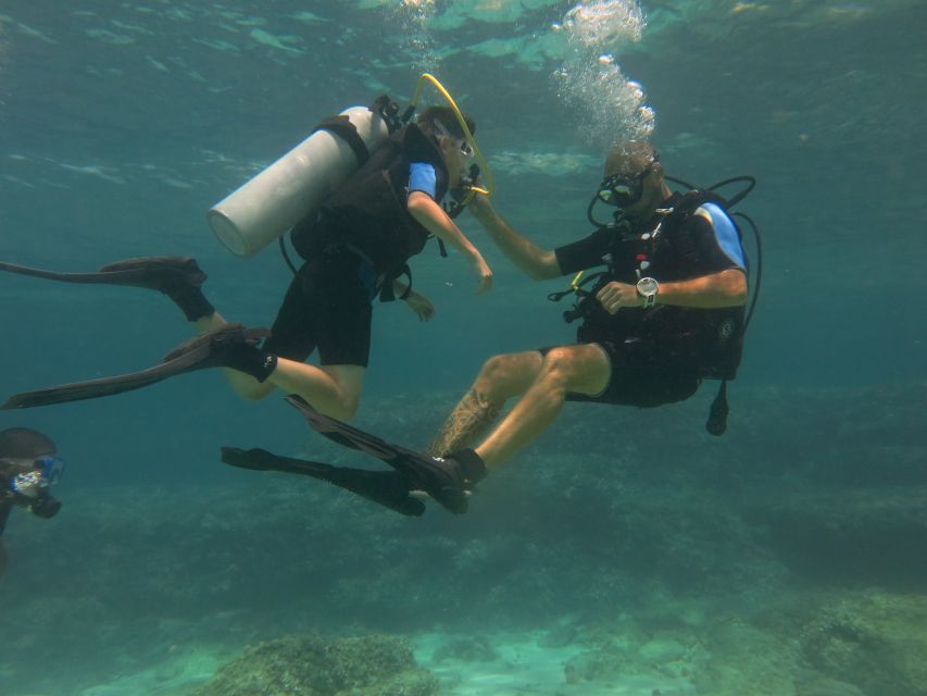 Mallorca: Discover Scuba Diving for Beginners - What the protected reserve adds