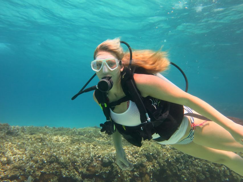 Mallorca: Discover Scuba Diving for Beginners - Is $176 a fair price?
