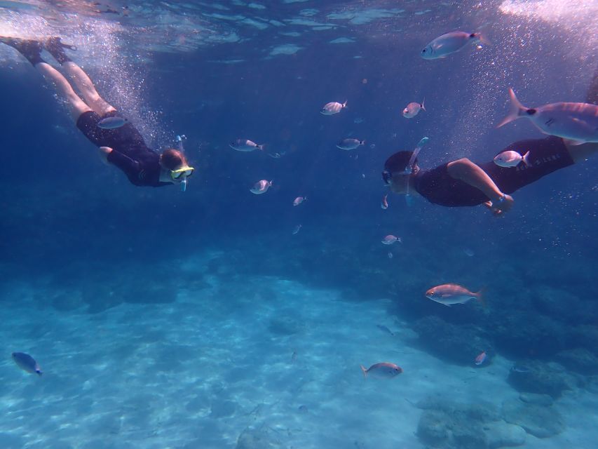 Mallorca: Snorkeling in a Beautiful Nature Reserve - Equipment, Comfort, and Photos