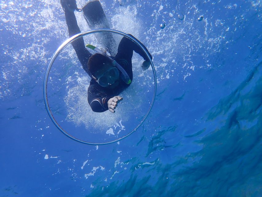 Mallorca: Snorkeling in a Beautiful Nature Reserve - Who Should Book This Snorkeling Trip?