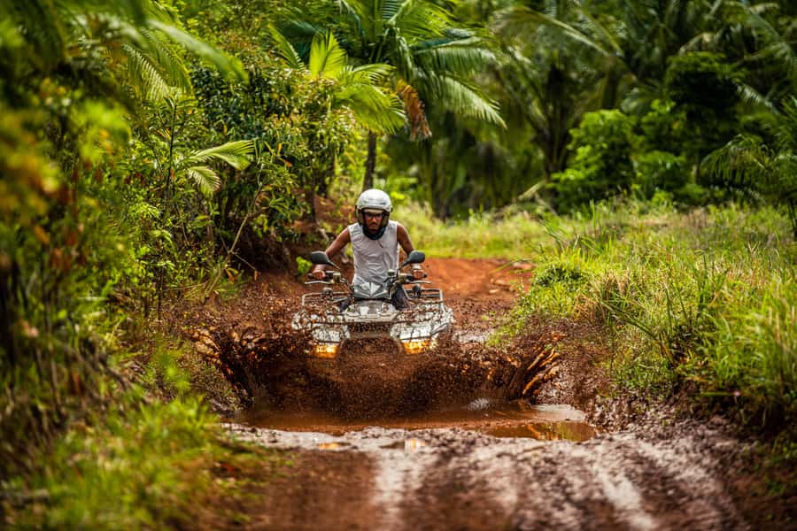 Mauritius: Bel Ombre Nature Reserve Quad Bike Tour - Key points at a glance