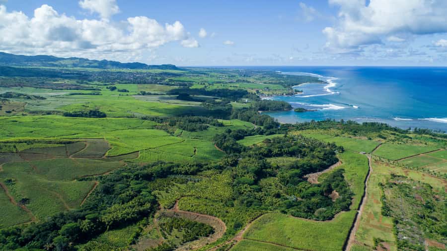 Mauritius: Bel Ombre Nature Reserve Quad Bike Tour - What the two-hour route feels like