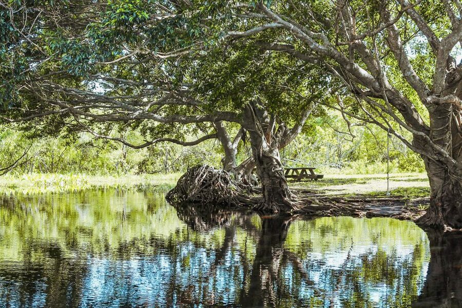 Miami: Everglades National Park Airboat Tour & Wildlife Show - Who should book this experience?