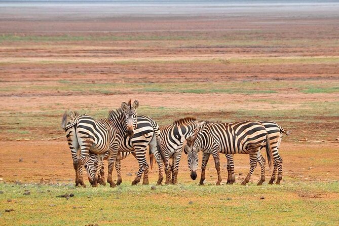 MIKUMI NATIONAL PARK - 3 Days - Meals and overnight stays