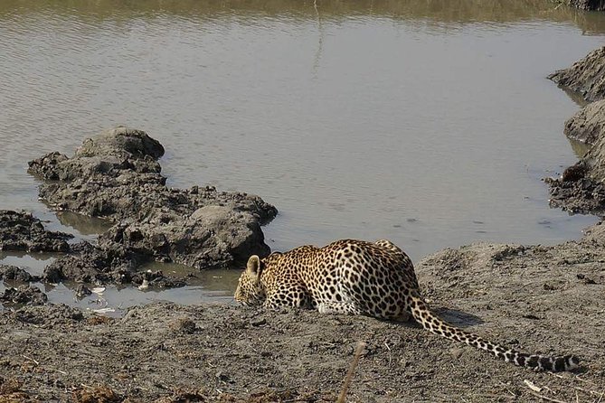 Mikumi National Park in a Day - A Day Tour from Morogoro - Key Points Before You Book