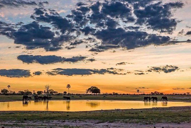 Mikumi National Park in a Day - A Day Tour from Morogoro - The Safari Vehicle and Guide Make a Difference