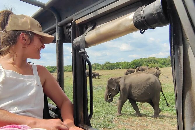 Minneriya National Park Elephant Jeep Safari Private Tour - Key points to know before you book