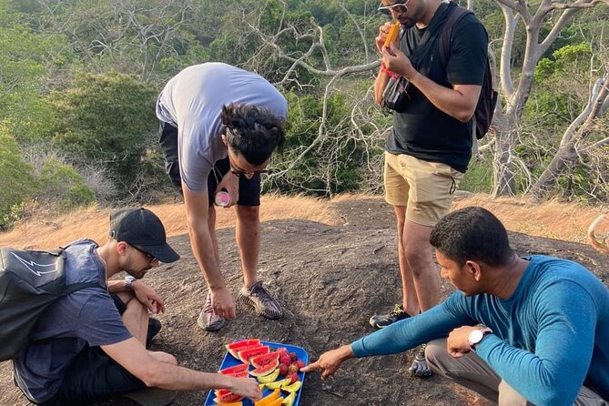 Minneriya National Park Elephant Jeep Safari Private Tour - What the three-hour park visit feels like