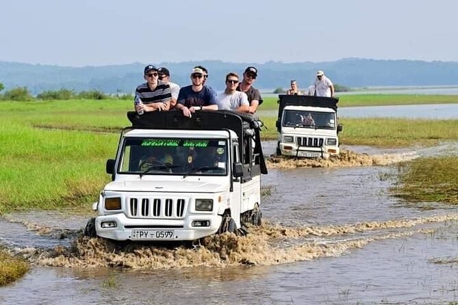 Minneriya National Park halfday Safari - A four-hour safari, not quite a full-day tour