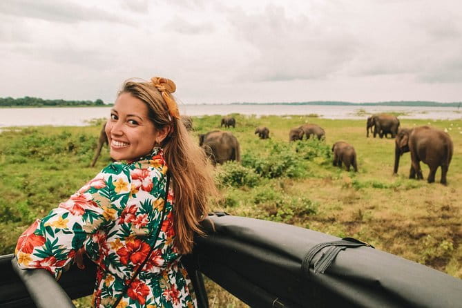Minneriya National Park | Private Safari - Price, park fees, and overall value