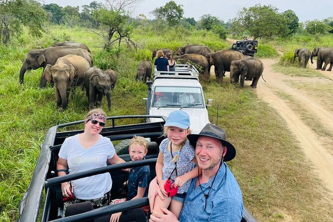 Minneriya National Park Safari - Private Jeep with Hotel Pickup - Key points at a glance