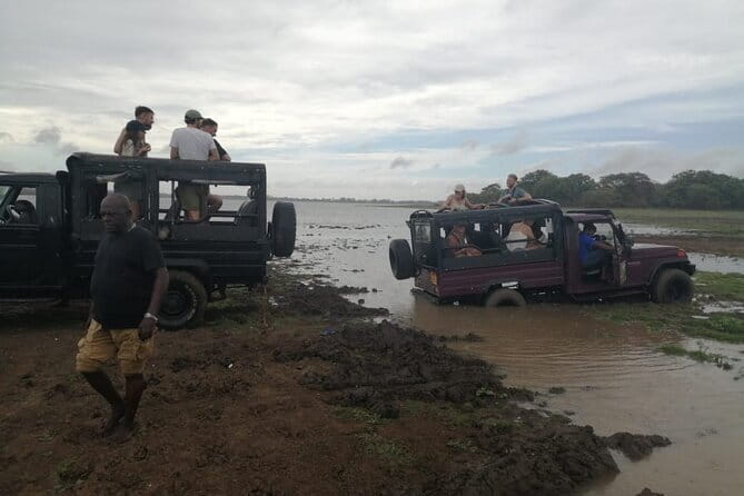Minneriya National Park Safari - Private Jeep with Hotel Pickup - Minneriya, Kaudulla, or Hurulu Eco Park?