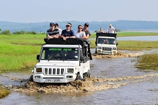 Minneriya National Park Safari - Private Jeep with Hotel Pickup - Pickup details and what to confirm