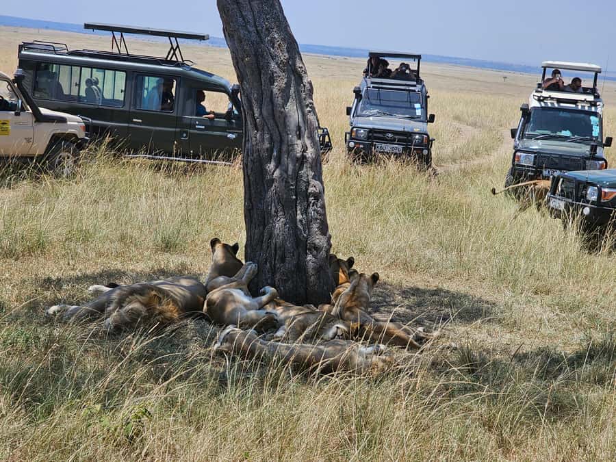 Mombasa: Tsavo East National Park Day Trip with Lunch - The Yatta Plateau and Tsavo’s volcanic past
