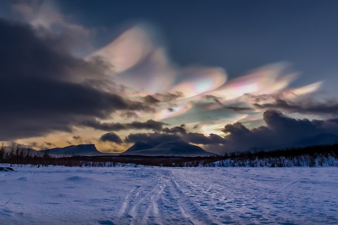 Morning hike in Abisko National Park - Watching for reindeer, moose, and animal tracks