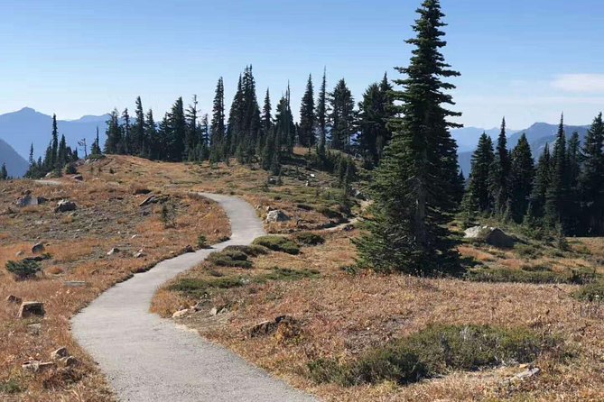 Mount Rainier National Park Day Tour from Seattle - Christine Falls and Narada Falls provide the best short stops