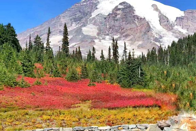 Mount Rainier National Park Day Tour from Seattle - Reflection Lakes is brief but worth watching for