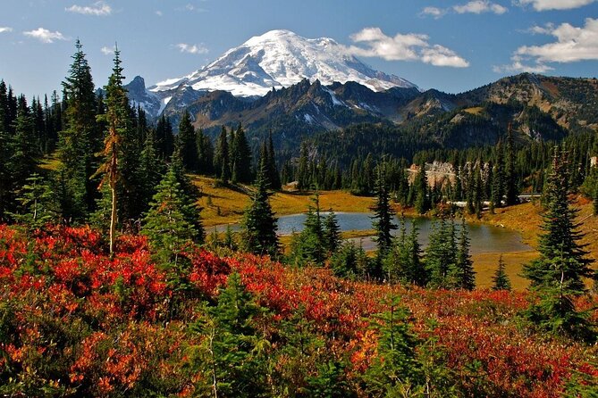 Mt. Rainier National Park Highlights Tour - Why this Seattle day trip works