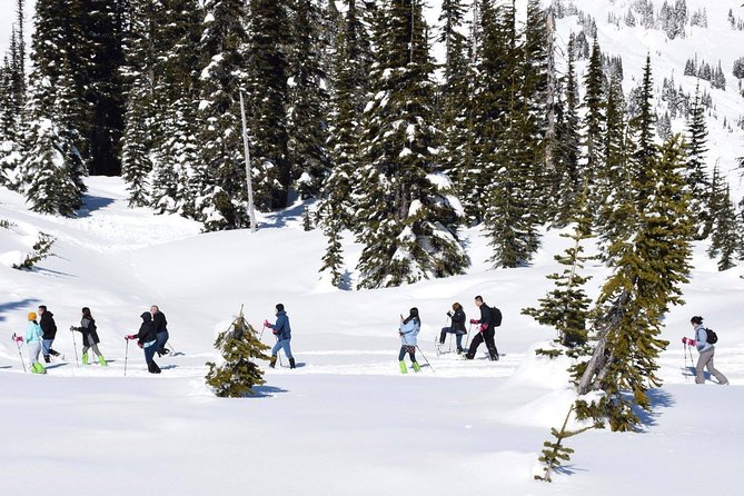 Mt. Rainier National Park Highlights Tour - Christine Falls and Narada Falls bring the best photo stops