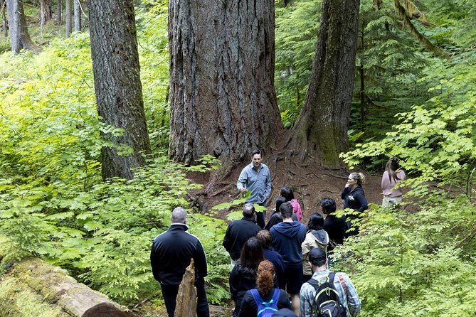 Mt. Rainier National Park Highlights Tour - Paradise is the main event at 5,400 feet