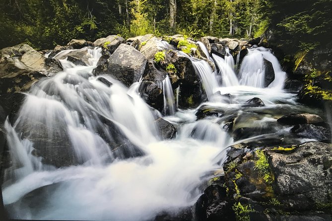 Mt. Rainier National Park Highlights Tour - The guide matters as much as the mountain